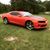 Kasey Kavanagh's profile image