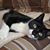 Michael Denruiter's profile image