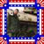 Robert Frankenfield's profile image