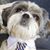 Sunny Dayze's profile image