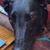Robin Young's profile image