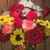 Brenda Franzel-Valire's profile image