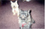 Donna B.'s profile image
