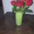 Phyllis Bubello's profile image