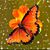 Veronda Mischeaux's profile image