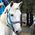 Trena Stover's profile image