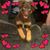 Amy Lynn Gasbarro Roche's profile image