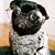 Rossano Dickie's profile image