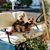 Rosemary Yonda's profile image
