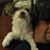 Randy Wilbanks's profile image