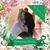 Samantha Garretson's profile image