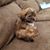 Lorrie Ault's profile image
