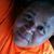 Sip LaPier's profile image