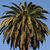 Heidi Vaara Sutcliffe's profile image