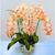 Margaret Staley's profile image