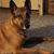 Mary Prokop's profile image
