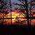 Donna Mahowald's profile image