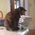 Christine Lynam Gallo's profile image