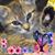 Diane Tebbe's profile image