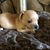 Tami Grant's profile image