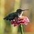 KerryAnn Wheatley's profile image
