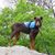 Lindy Bennett's profile image