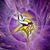 Brandon Rencher's profile image