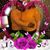 Michelle Clark Moore's profile image