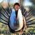 Osmo Larmi's profile image
