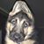 Dan Brunner's profile image