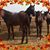 Vicki Averill's profile image