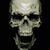Nevzat Mutlu's profile image