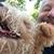Dennis Slavin's profile image