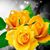 Teresa Ramirez T's profile image