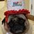 Lori O'Neill Price's profile image