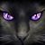 Magi Cravens's profile image