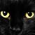 Jean Hageman's profile image