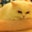 Catherine Yoo's profile image