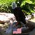 Hovey Thulin's profile image