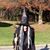 Karen Knicely Eye's profile image