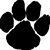 Smith Tiger's profile image