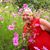 DonLee Lane's profile image