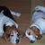 Janet Vonderscher's profile image