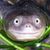 Yoli Bee's profile image