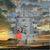 Tami Bitting's profile image