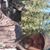 Joedy Martinez's profile image