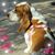 Stephanie Mary's profile image