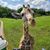 Donna Kathleen's profile image