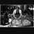Michael Shane Ury's profile image