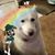 Nancy Gardner's profile image